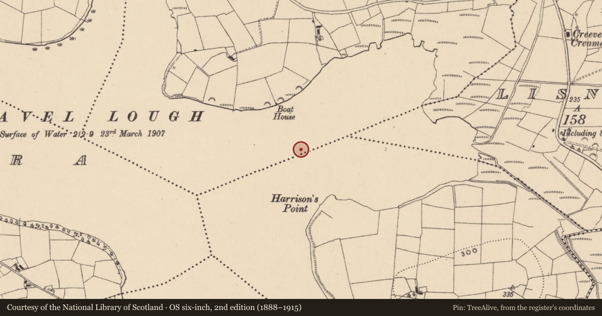 Ordnance Survey six-inch map, 2nd edition (1888–1915) covering the location of Crannog, Derrintawny, County Leitrim, with a pin at the register's coordinates