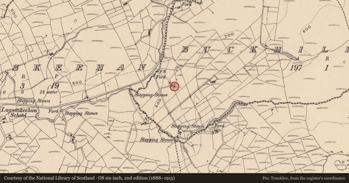 Ordnance Survey six-inch map, 2nd edition (1888–1915) covering the location of Sweathouse, Buckhill Barr, County Leitrim, with a pin at the register's coordinates