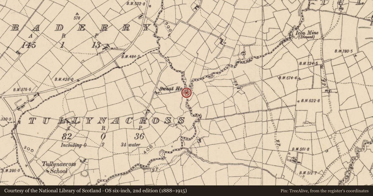 Ordnance Survey six-inch map, 2nd edition (1888–1915) covering the location of Sweathouse, Tullynacross, County Leitrim, with a pin at the register's coordinates