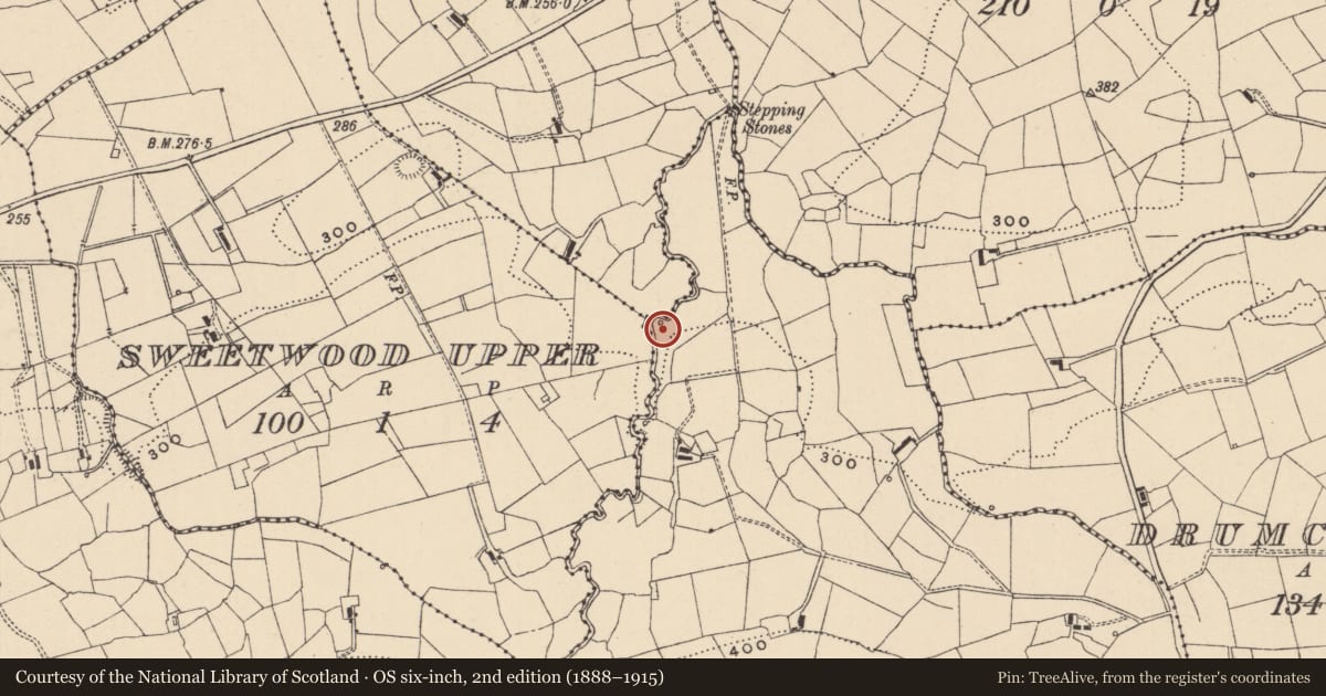 Ordnance Survey six-inch map, 2nd edition (1888–1915) covering the location of Sweathouse, Treannadullagh, County Leitrim, with a pin at the register's coordinates