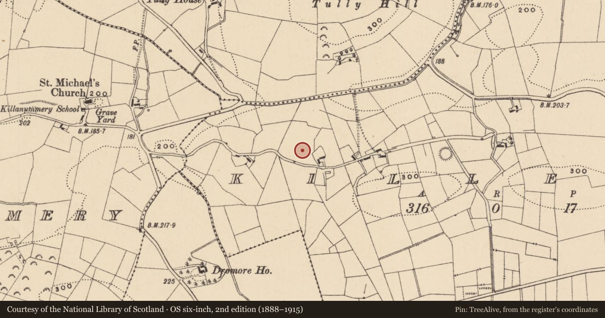 Ordnance Survey six-inch map, 2nd edition (1888–1915) covering the location of Ringfort - rath, Killeen, County Leitrim, with a pin at the register's coordinates