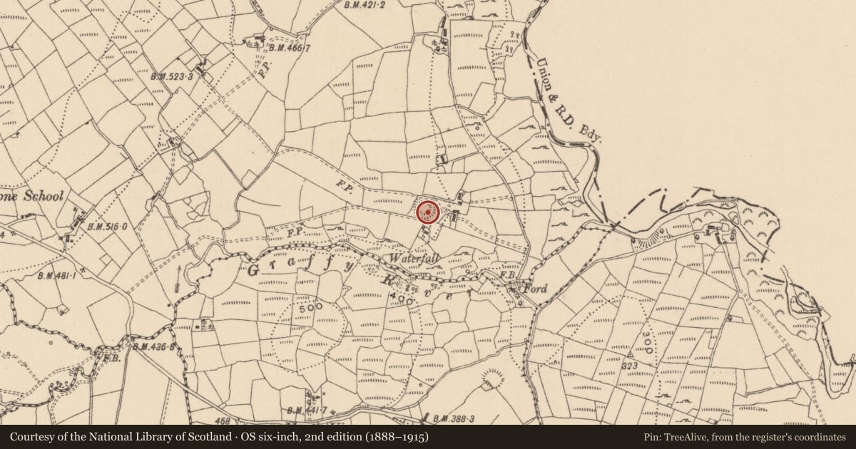 Ordnance Survey six-inch map, 2nd edition (1888–1915) covering the location of Ringfort - cashel, Dergvone, County Leitrim, with a pin at the register's coordinates