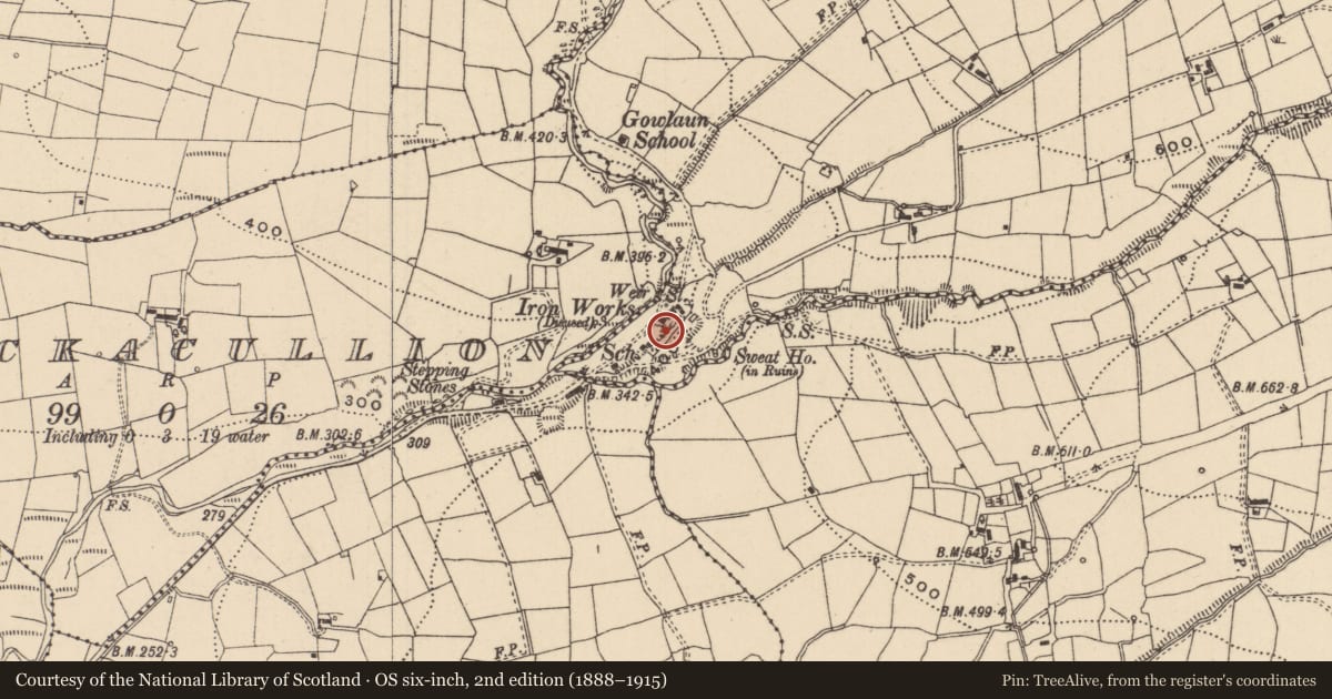 Ordnance Survey six-inch map, 2nd edition (1888–1915) covering the location of Metalworking site, Gowlaun, County Leitrim, with a pin at the register's coordinates