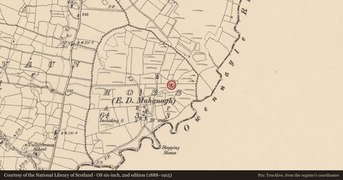 Ordnance Survey six-inch map, 2nd edition (1888–1915) covering the location of Ringfort - rath, Ross, County Leitrim, with a pin at the register's coordinates