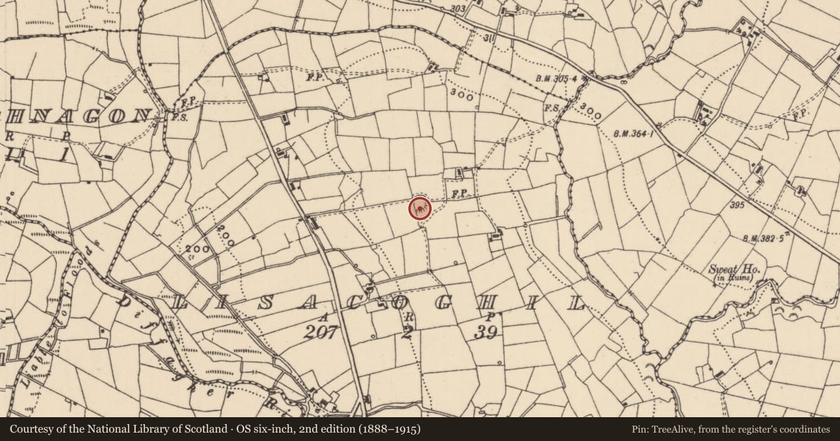 Ordnance Survey six-inch map, 2nd edition (1888–1915) covering the location of Ringfort - cashel, Lisacoghil, County Leitrim, with a pin at the register's coordinates