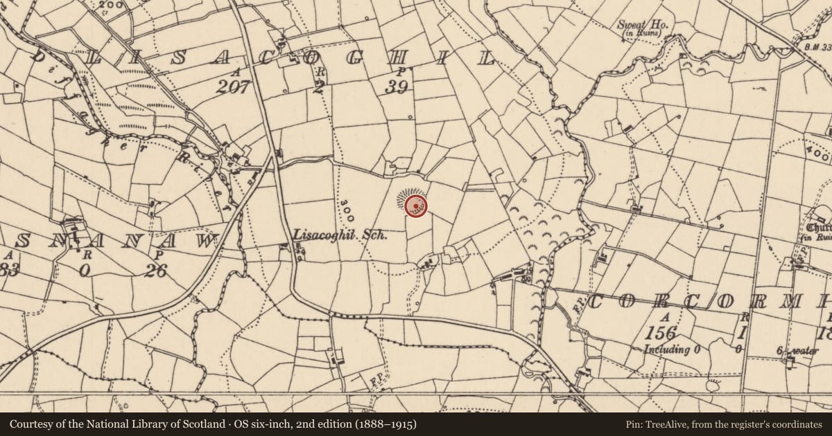 Ordnance Survey six-inch map, 2nd edition (1888–1915) covering the location of Ringfort - rath, Lisacoghil, County Leitrim, with a pin at the register's coordinates