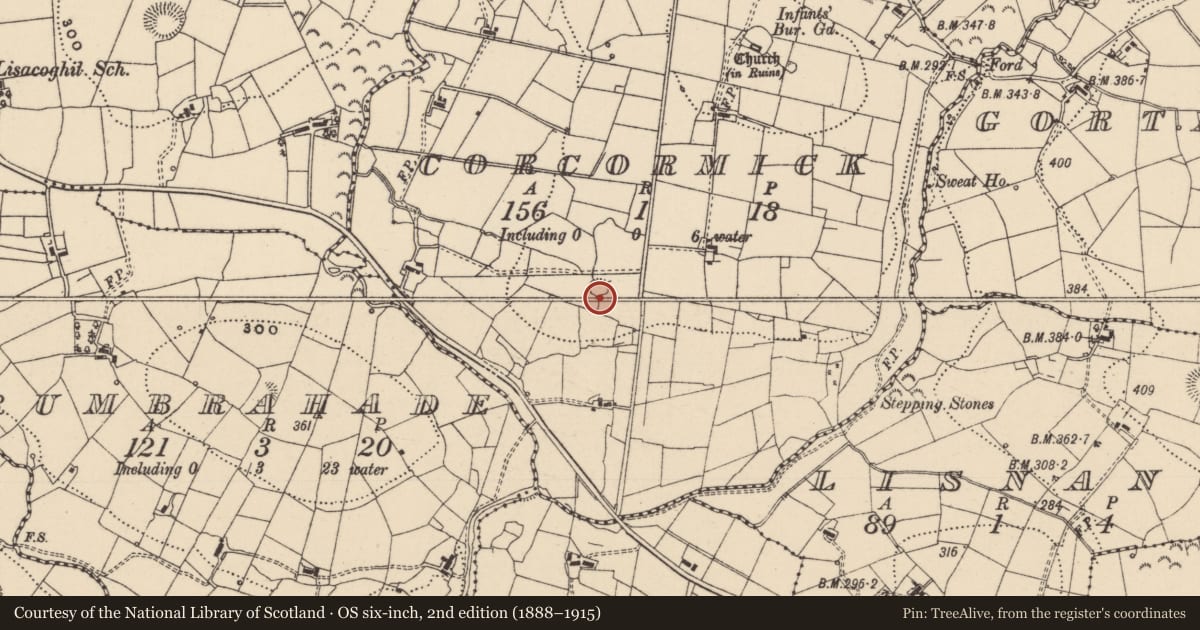 Ordnance Survey six-inch map, 2nd edition (1888–1915) covering the location of Ringfort - cashel, Corcormick, County Leitrim, with a pin at the register's coordinates