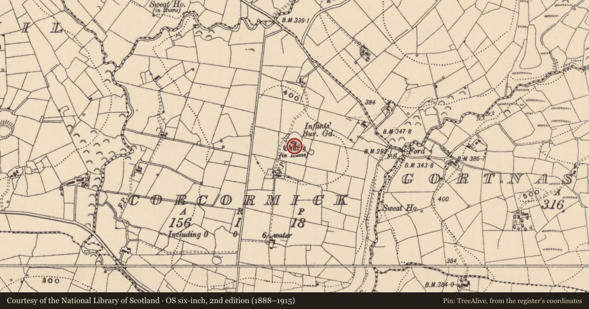 Ordnance Survey six-inch map, 2nd edition (1888–1915) covering the location of Church, Corcormick, County Leitrim, with a pin at the register's coordinates