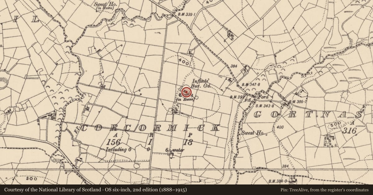 Ordnance Survey six-inch map, 2nd edition (1888–1915) covering the location of Enclosure, Corcormick, County Leitrim, with a pin at the register's coordinates