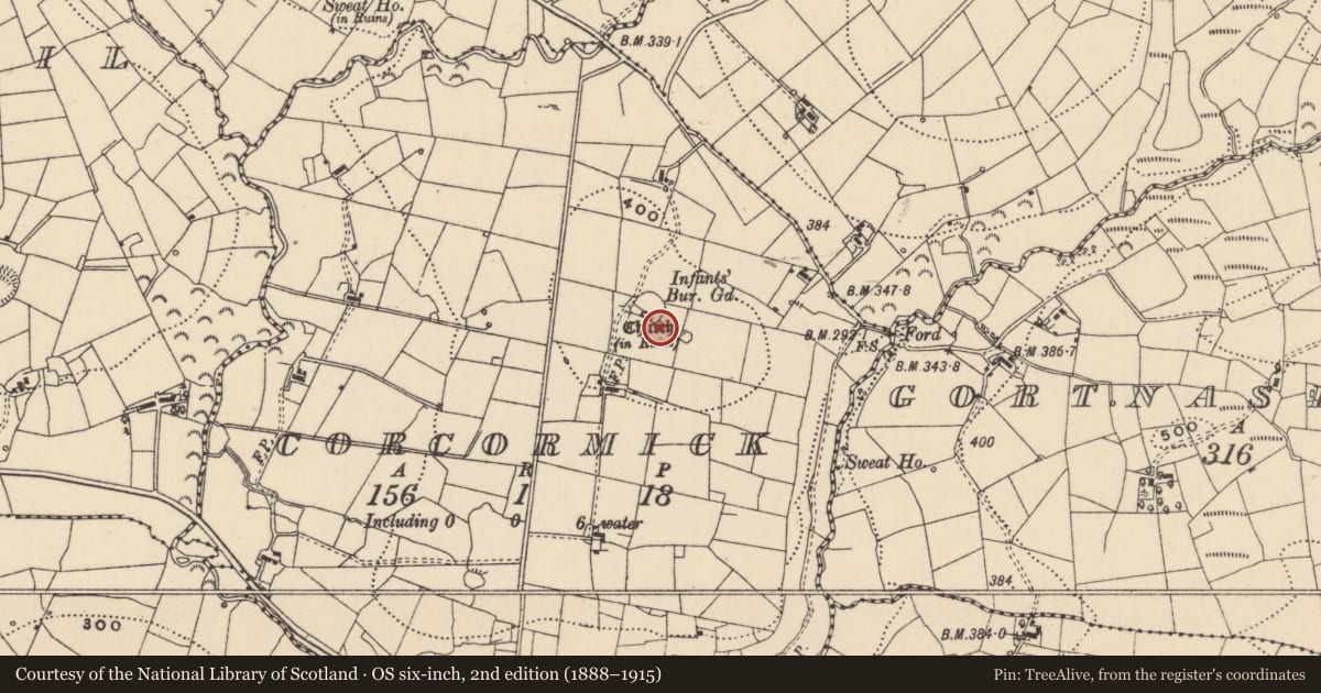 Ordnance Survey six-inch map, 2nd edition (1888–1915) covering the location of Children's burial ground, Corcormick, County Leitrim, with a pin at the register's coordinates