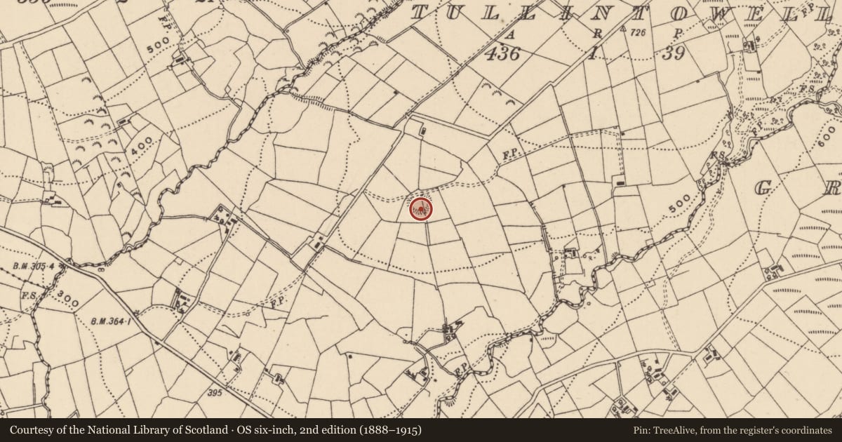Ordnance Survey six-inch map, 2nd edition (1888–1915) covering the location of Ringfort - rath, Tullintowell, County Leitrim, with a pin at the register's coordinates
