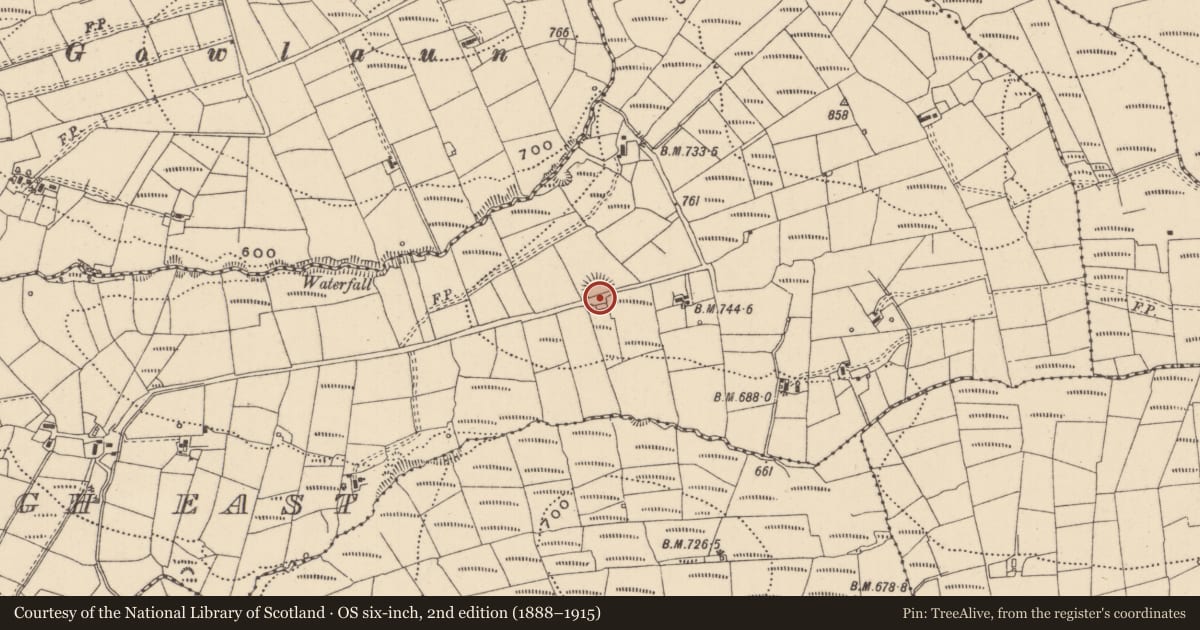 Ordnance Survey six-inch map, 2nd edition (1888–1915) covering the location of Enclosure, Gortnasillagh East, County Leitrim, with a pin at the register's coordinates