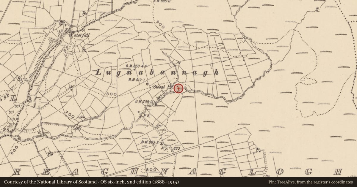 Ordnance Survey six-inch map, 2nd edition (1888–1915) covering the location of Sweathouse, Greaghnaglogh, County Leitrim, with a pin at the register's coordinates