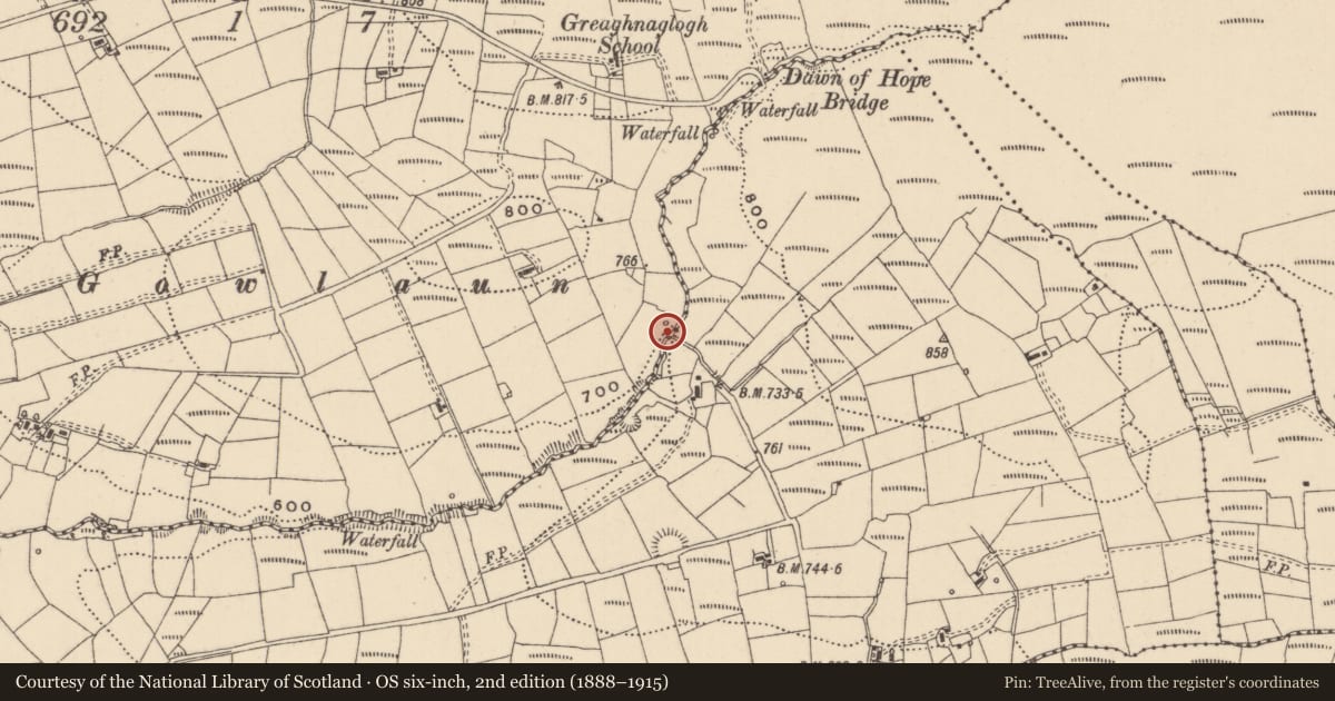 Ordnance Survey six-inch map, 2nd edition (1888–1915) covering the location of Sweathouse, Greaghnaglogh, County Leitrim, with a pin at the register's coordinates