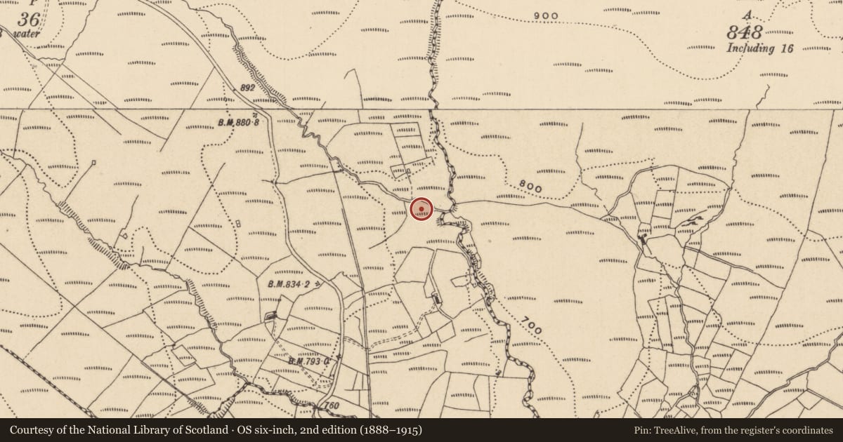 Ordnance Survey six-inch map, 2nd edition (1888–1915) covering the location of Sweathouse, Barlear, County Leitrim, with a pin at the register's coordinates