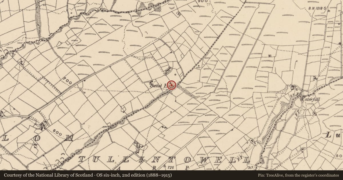Ordnance Survey six-inch map, 2nd edition (1888–1915) covering the location of Sweathouse, Geaglom, County Leitrim, with a pin at the register's coordinates