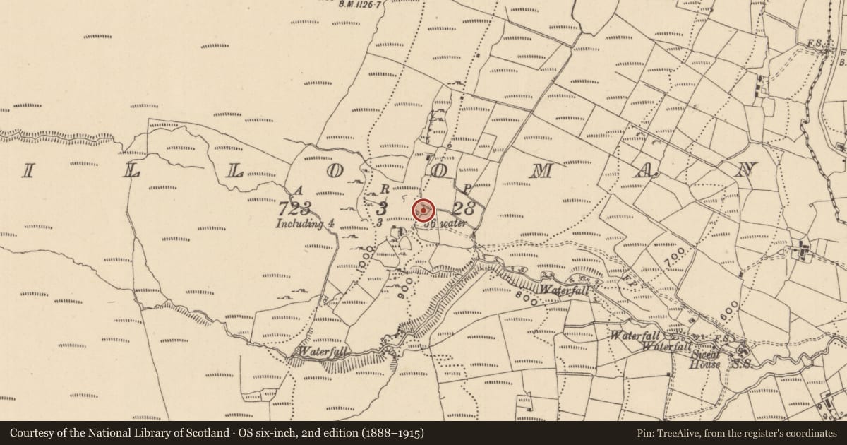 Ordnance Survey six-inch map, 2nd edition (1888–1915) covering the location of Sweathouse, Killooman, County Leitrim, with a pin at the register's coordinates