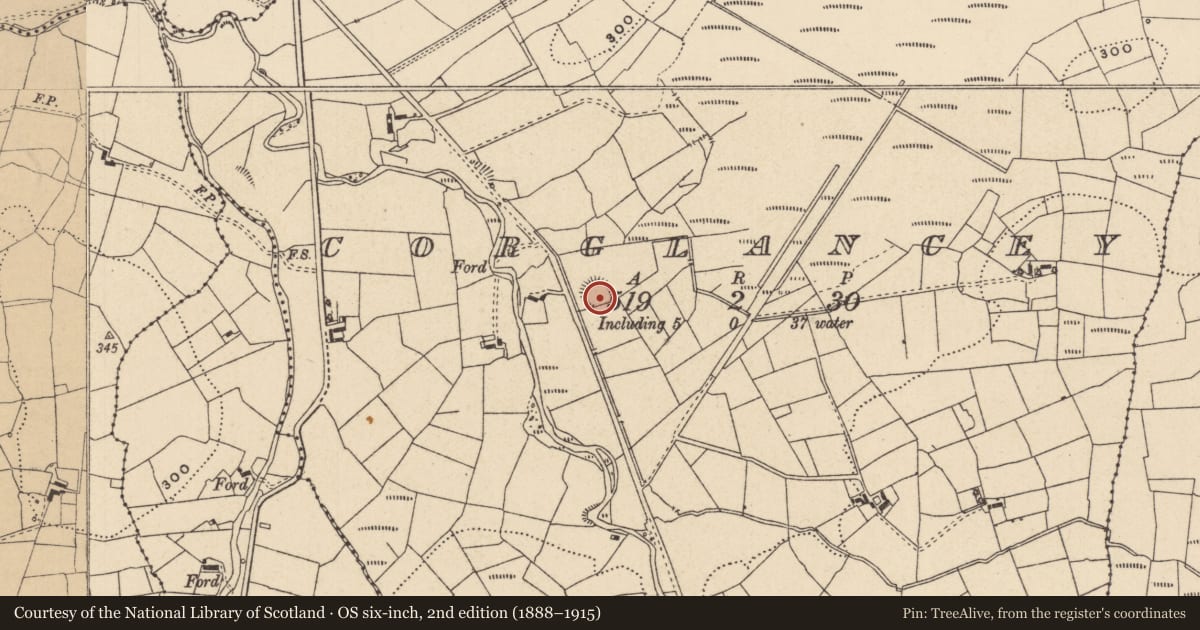 Ordnance Survey six-inch map, 2nd edition (1888–1915) covering the location of Ringfort - rath, Corglancey, County Leitrim, with a pin at the register's coordinates
