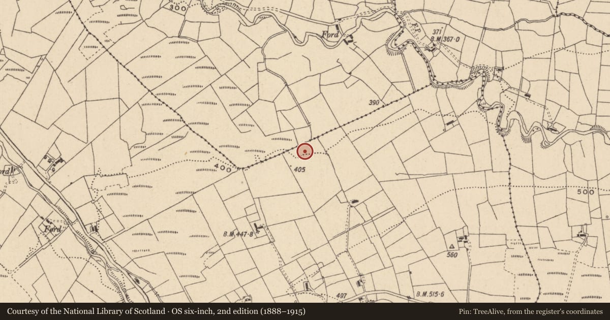Ordnance Survey six-inch map, 2nd edition (1888–1915) covering the location of Earthwork, Tullynascreen, County Leitrim, with a pin at the register's coordinates