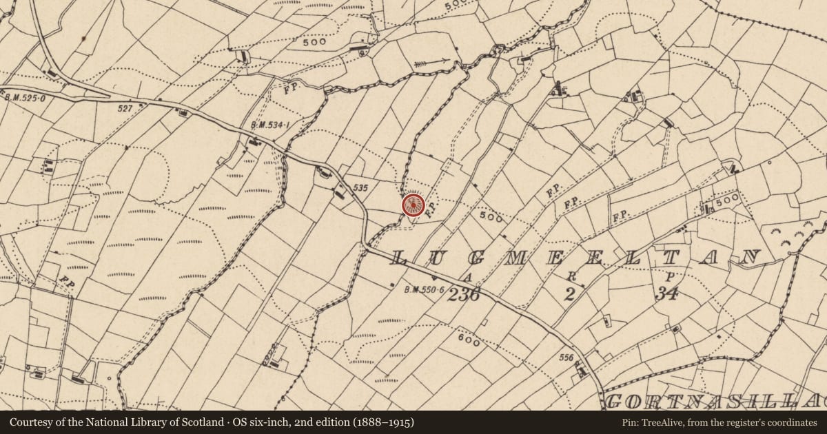 Ordnance Survey six-inch map, 2nd edition (1888–1915) covering the location of Ringfort - rath, Lugmeeltan, County Leitrim, with a pin at the register's coordinates