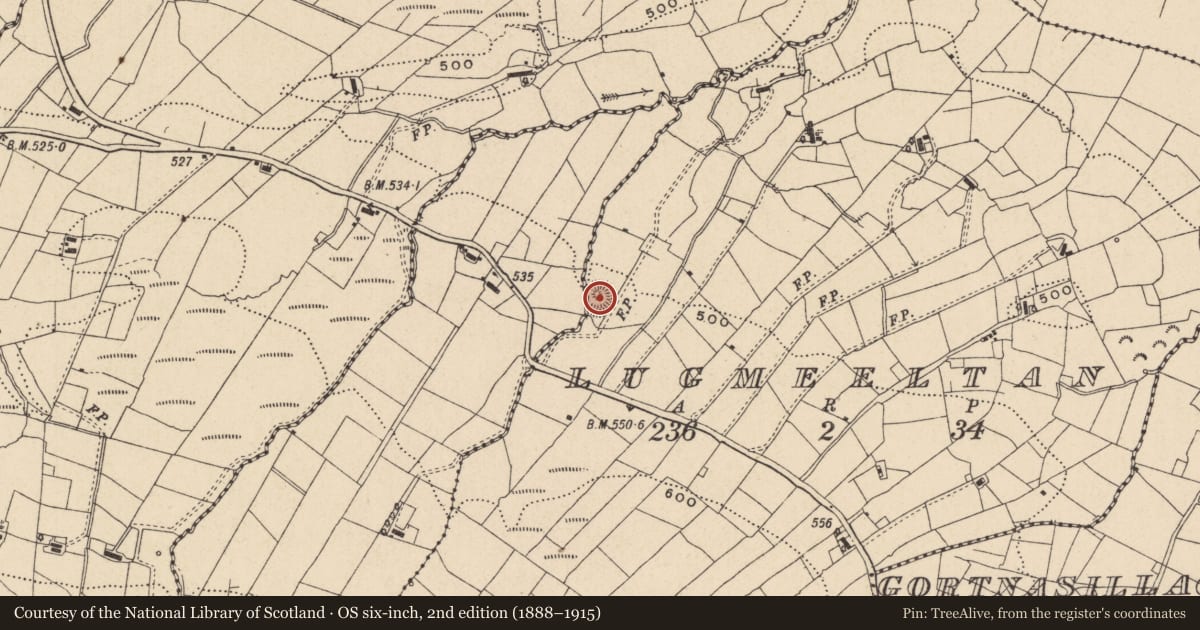 Ordnance Survey six-inch map, 2nd edition (1888–1915) covering the location of House - indeterminate date, Lugmeeltan, County Leitrim, with a pin at the register's coordinates