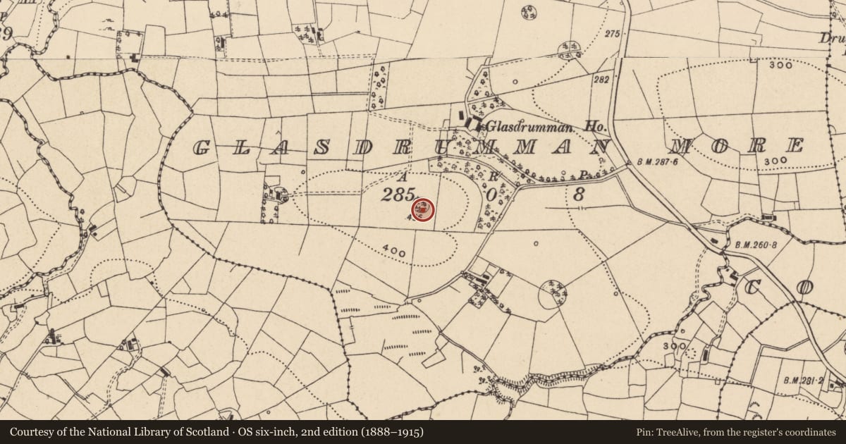 Ordnance Survey six-inch map, 2nd edition (1888–1915) covering the location of Designed landscape - tree-ring, Glasdrumman More, County Leitrim, with a pin at the register's coordinates