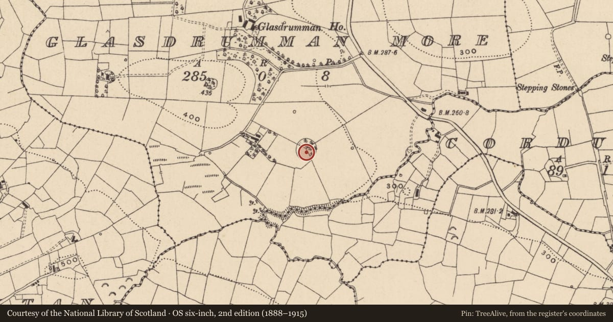 Ordnance Survey six-inch map, 2nd edition (1888–1915) covering the location of Designed landscape - tree-ring, Glasdrumman More, County Leitrim, with a pin at the register's coordinates