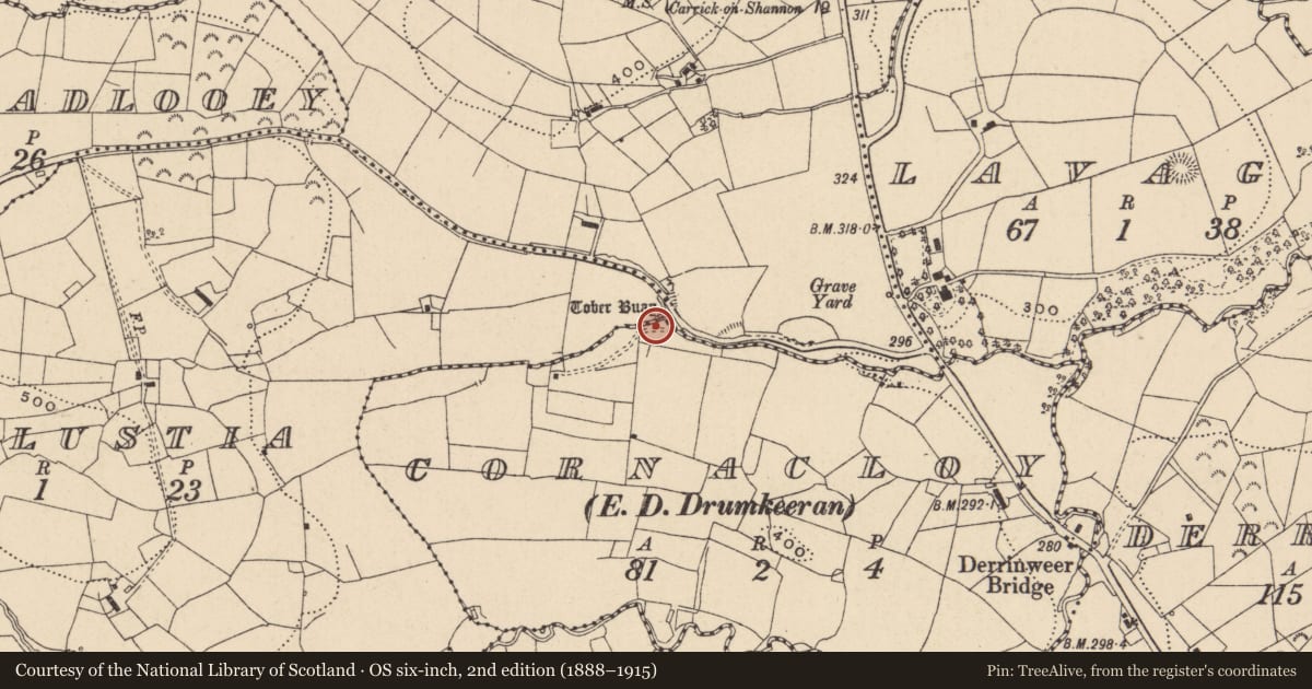 Ordnance Survey six-inch map, 2nd edition (1888–1915) covering the location of Ritual site - holy well, Corralustia, County Leitrim, with a pin at the register's coordinates