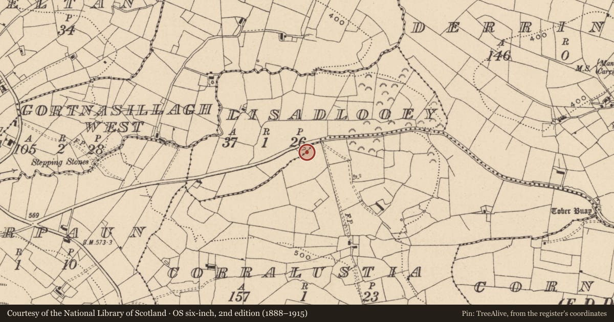Ordnance Survey six-inch map, 2nd edition (1888–1915) covering the location of Burnt mound, Corralustia, County Leitrim, with a pin at the register's coordinates