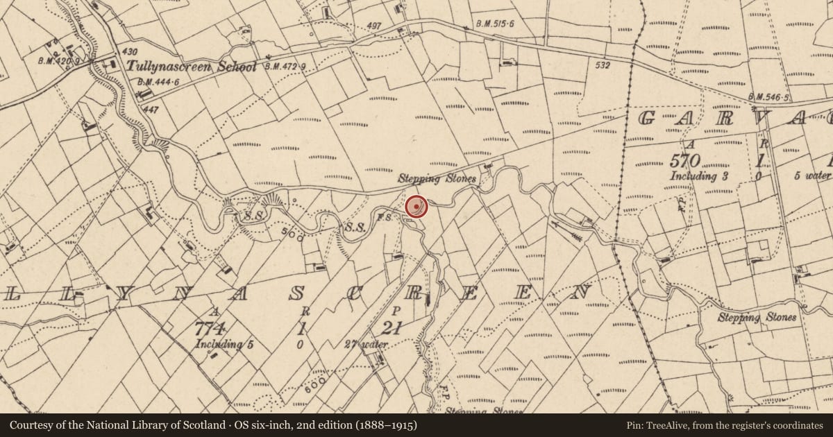 Ordnance Survey six-inch map, 2nd edition (1888–1915) covering the location of Mass-rock, Tullynascreen, County Leitrim, with a pin at the register's coordinates