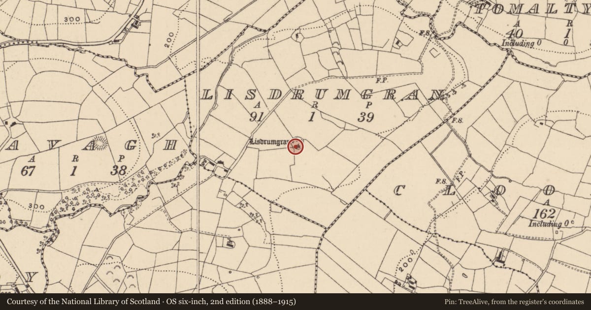 Ordnance Survey six-inch map, 2nd edition (1888–1915) covering the location of Ringfort - rath, Lisdrumgran, County Leitrim, with a pin at the register's coordinates