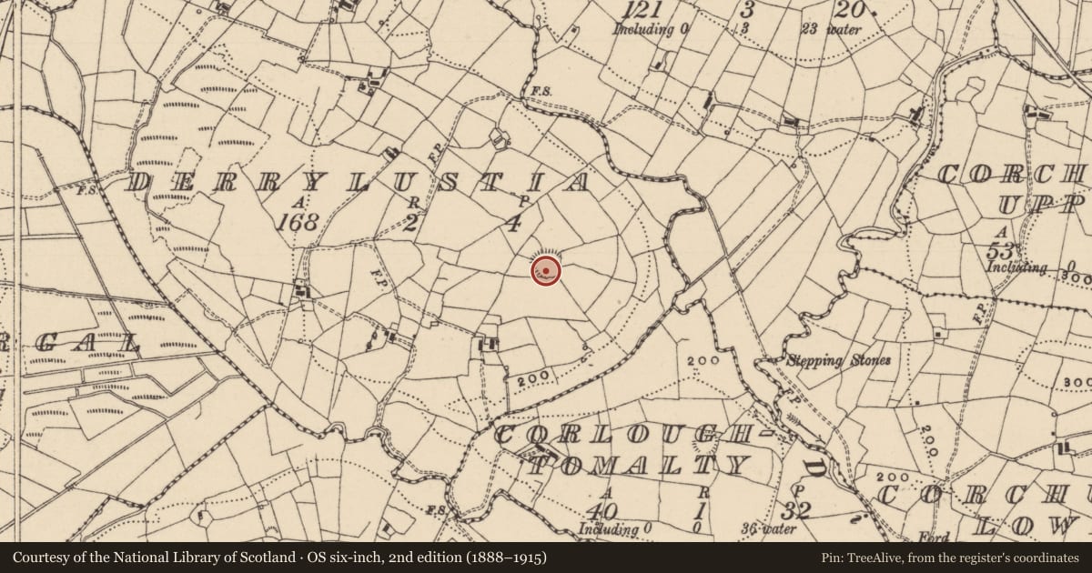 Ordnance Survey six-inch map, 2nd edition (1888–1915) covering the location of Ringfort - rath, Derrylustia, County Leitrim, with a pin at the register's coordinates