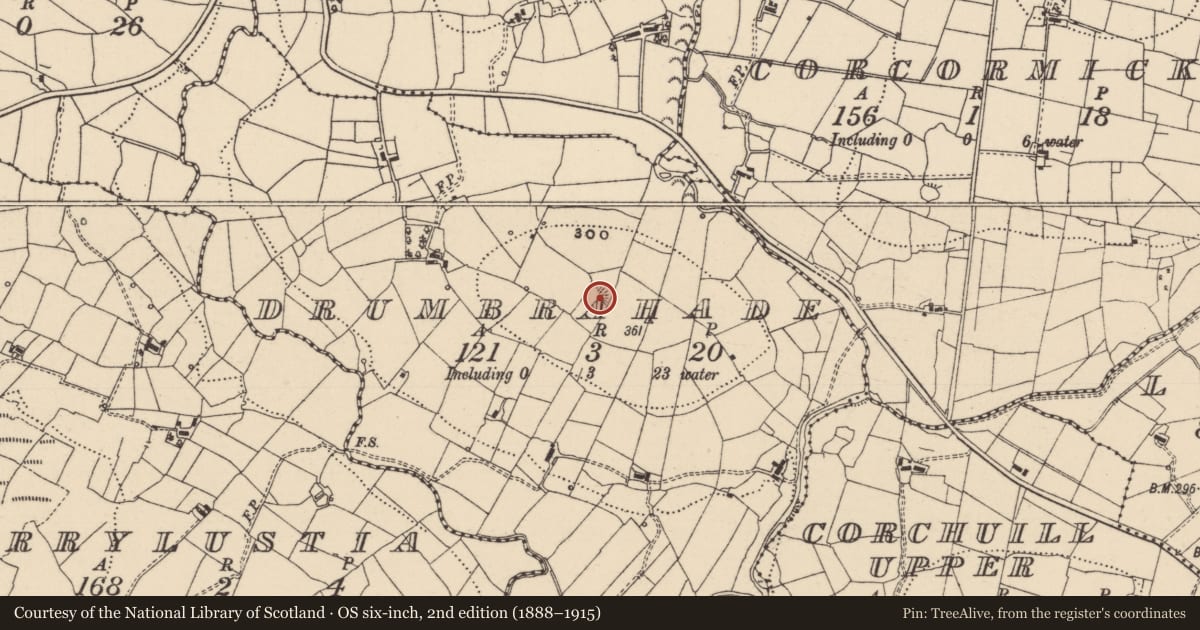 Ordnance Survey six-inch map, 2nd edition (1888–1915) covering the location of Ringfort - rath, Drumbrahade, County Leitrim, with a pin at the register's coordinates