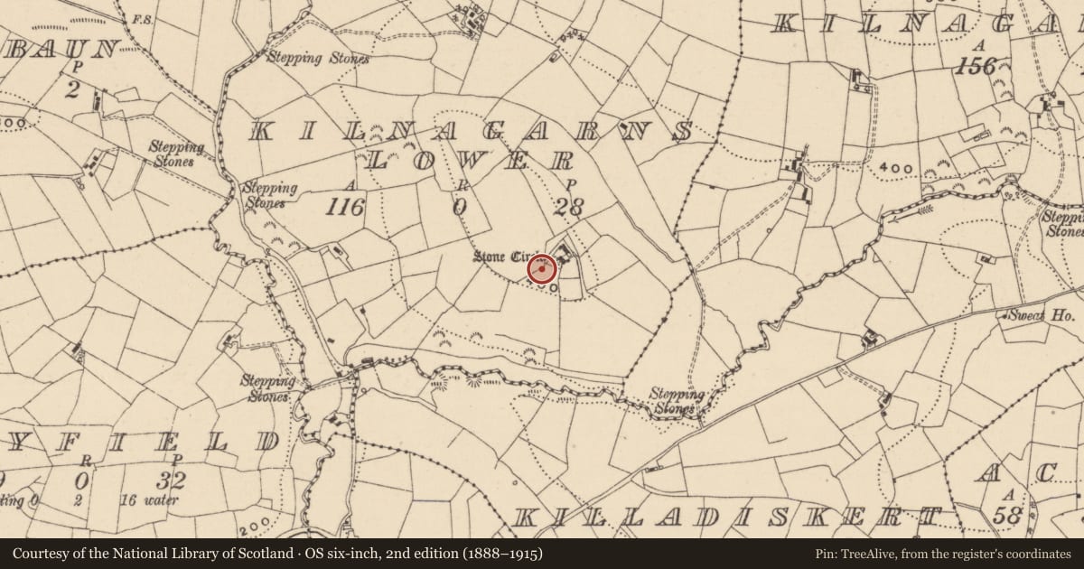 Ordnance Survey six-inch map, 2nd edition (1888–1915) covering the location of Megalithic tomb - wedge tomb, Kilnagarns Lower, County Leitrim, with a pin at the register's coordinates