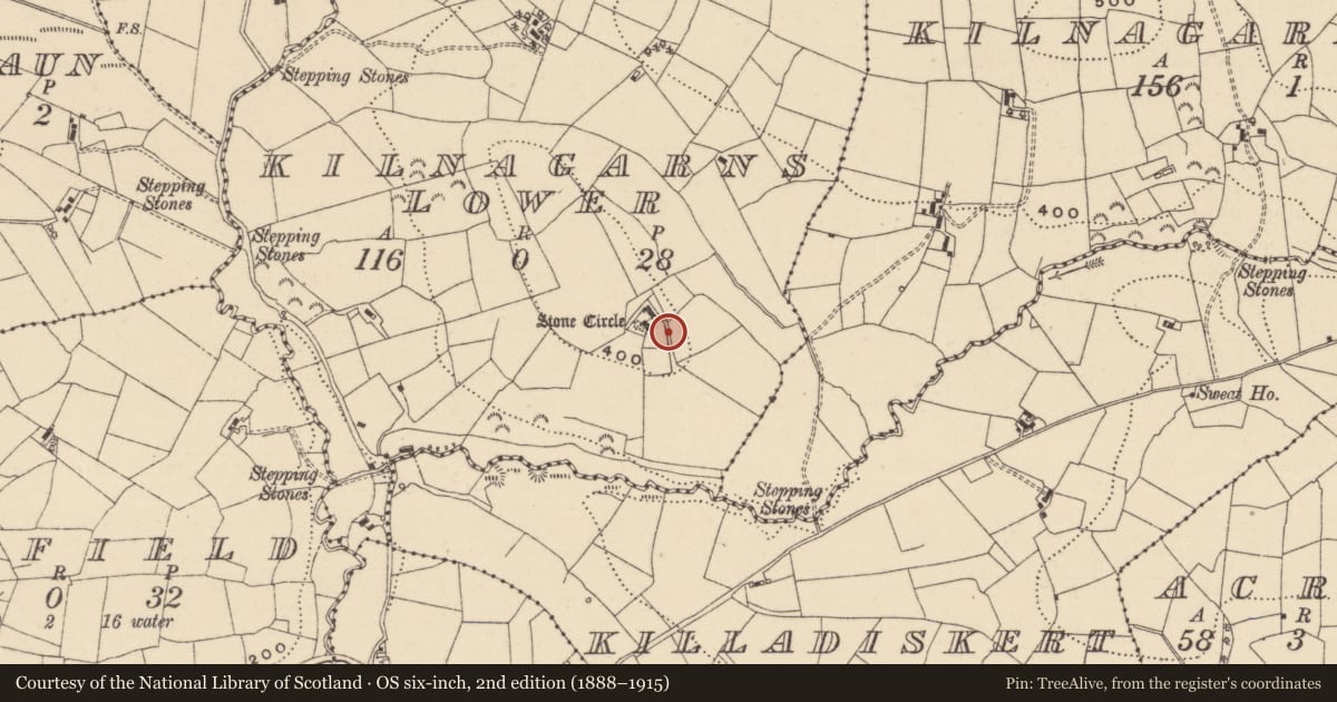 Ordnance Survey six-inch map, 2nd edition (1888–1915) covering the location of Standing stone, Kilnagarns Lower, County Leitrim, with a pin at the register's coordinates