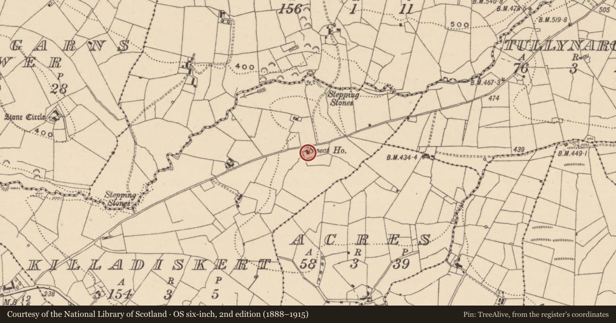 Ordnance Survey six-inch map, 2nd edition (1888–1915) covering the location of Sweathouse, Killadiskert, County Leitrim, with a pin at the register's coordinates