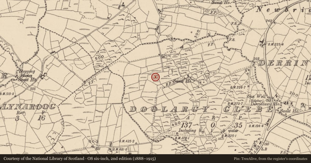 Ordnance Survey six-inch map, 2nd edition (1888–1915) covering the location of Ringfort - rath, Doolargy Glebe, County Leitrim, with a pin at the register's coordinates