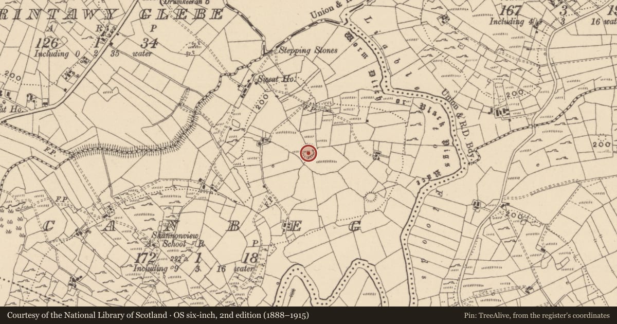 Ordnance Survey six-inch map, 2nd edition (1888–1915) covering the location of Ringfort - rath, Canbeg, County Leitrim, with a pin at the register's coordinates