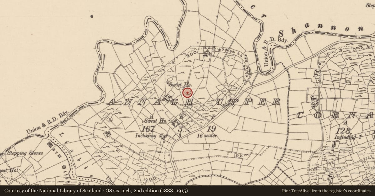 Ordnance Survey six-inch map, 2nd edition (1888–1915) covering the location of Ringfort - cashel, Annagh Upper, County Leitrim, with a pin at the register's coordinates