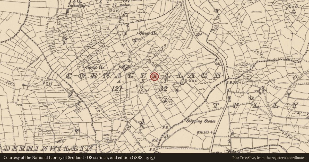 Ordnance Survey six-inch map, 2nd edition (1888–1915) covering the location of Ringfort - rath, Cornaguillagh, County Leitrim, with a pin at the register's coordinates