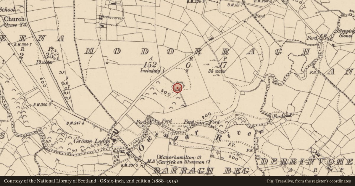 Ordnance Survey six-inch map, 2nd edition (1888–1915) covering the location of Ringfort - rath, Modorragh, County Leitrim, with a pin at the register's coordinates