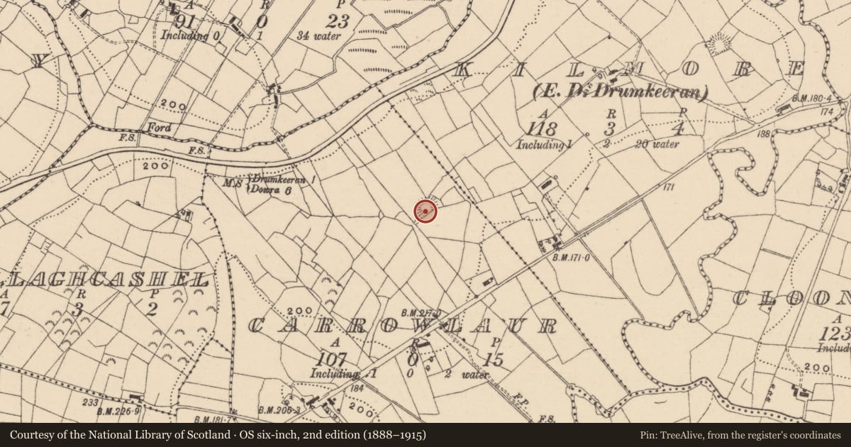 Ordnance Survey six-inch map, 2nd edition (1888–1915) covering the location of Ringfort - rath, Carrowlaur, County Leitrim, with a pin at the register's coordinates