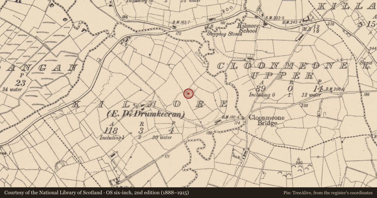 Ordnance Survey six-inch map, 2nd edition (1888–1915) covering the location of Ringfort - rath, Kilmore, County Leitrim, with a pin at the register's coordinates