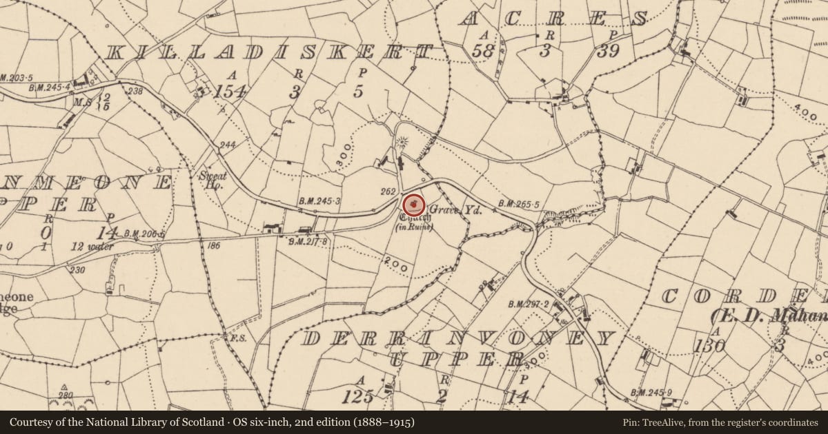 Ordnance Survey six-inch map, 2nd edition (1888–1915) covering the location of Church, Killadiskert, County Leitrim, with a pin at the register's coordinates
