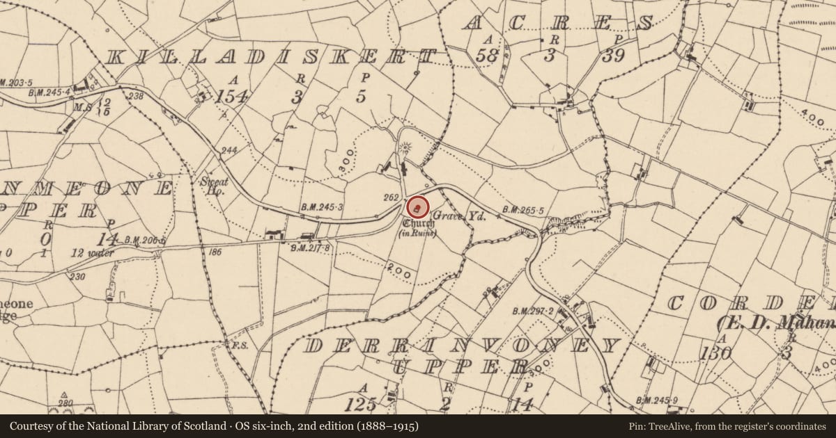 Ordnance Survey six-inch map, 2nd edition (1888–1915) covering the location of Graveyard, Killadiskert, County Leitrim, with a pin at the register's coordinates
