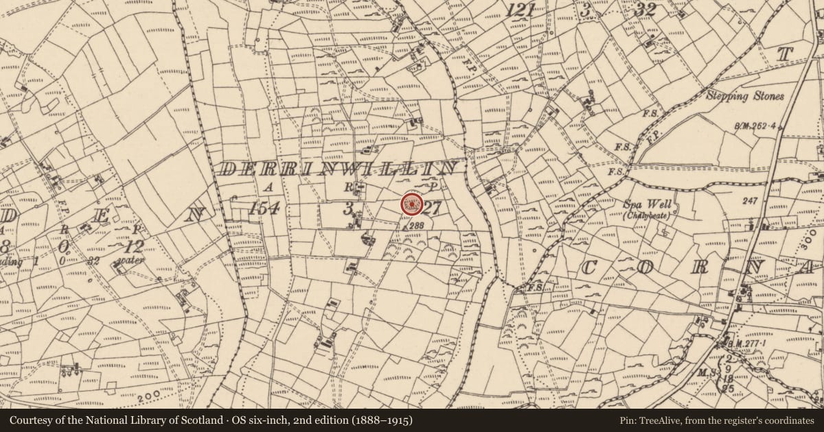 Ordnance Survey six-inch map, 2nd edition (1888–1915) covering the location of Ringfort - rath, Derrinwillin, County Leitrim, with a pin at the register's coordinates