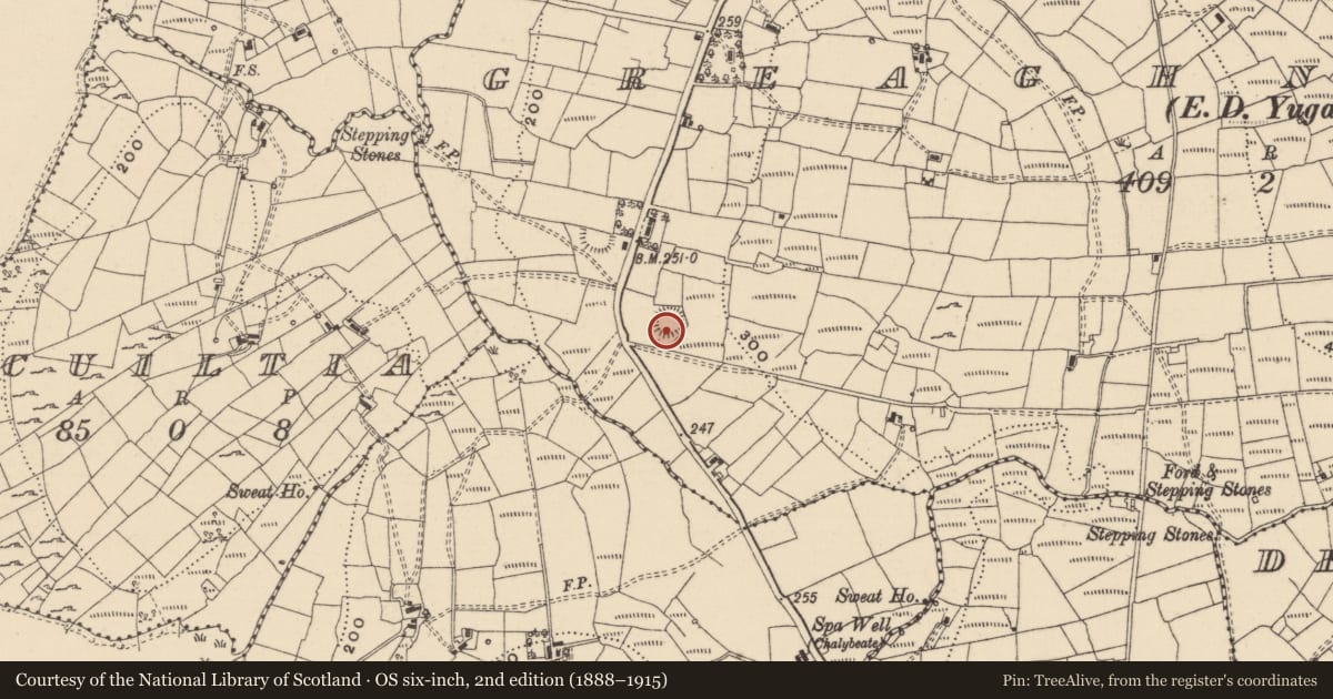 Ordnance Survey six-inch map, 2nd edition (1888–1915) covering the location of Ringfort - rath, Greaghnafarna, County Leitrim, with a pin at the register's coordinates