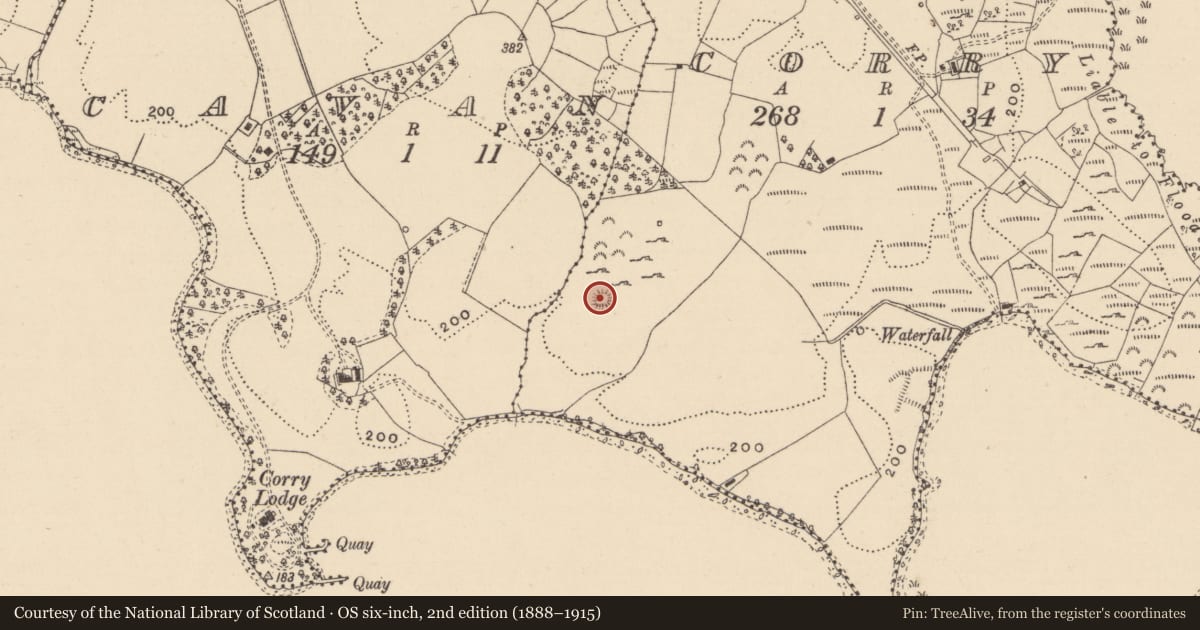 Ordnance Survey six-inch map, 2nd edition (1888–1915) covering the location of Ringfort - rath, Corry, County Leitrim, with a pin at the register's coordinates