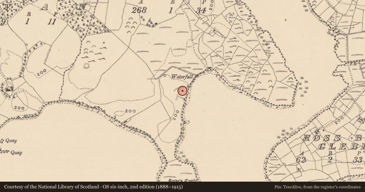 Ordnance Survey six-inch map, 2nd edition (1888–1915) covering the location of Enclosure, Corry, County Leitrim, with a pin at the register's coordinates