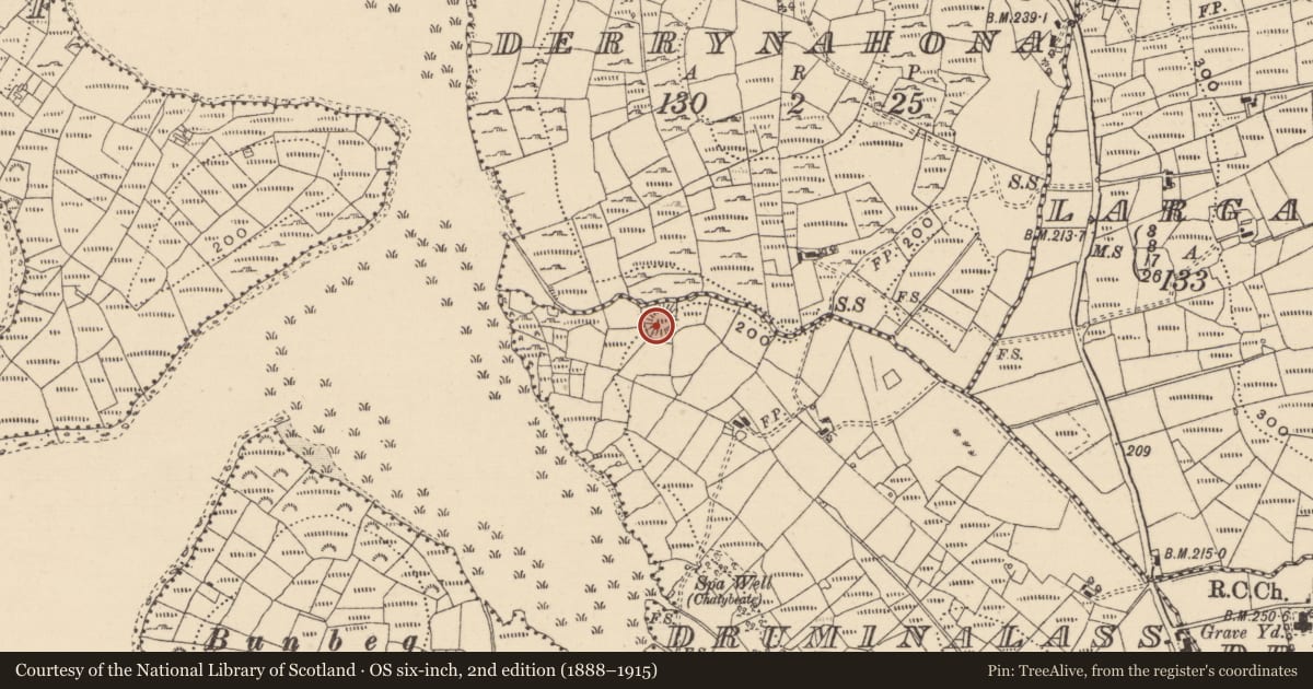 Ordnance Survey six-inch map, 2nd edition (1888–1915) covering the location of Metalworking site, Druminalass, County Leitrim, with a pin at the register's coordinates